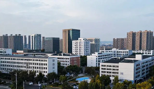 企业信息认证,如何有效维护数据安全